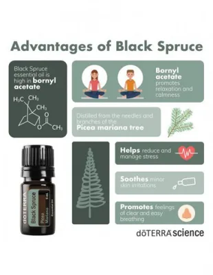 Ulei esential, Black Spruce, doTERRA, 5 ml