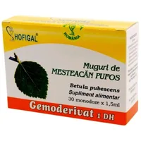 Muguri de mesteacan pufos, 30 monodoze, Hofigal