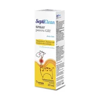 Spray pentru gat cu albastru de metilen, 20 ml, Septiclean