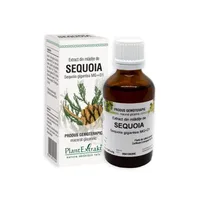 Extract din mladite de Sequoia, 50 ml, Plant Extrakt
