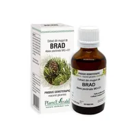 Extract din muguri de Brad, 50 ml, Plant Extrakt