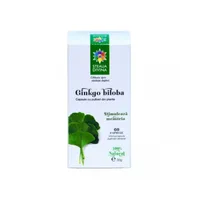 Ginkgo Biloba 500mg, 60 capsule, Steaua Divina