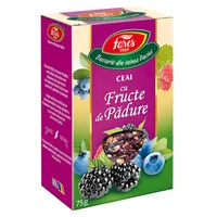 Ceai aromat cu fructe de padure, 75g, Fares