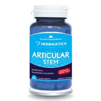 Articular+ Stem, 60 capsule, Herbagetica