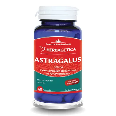 Astragalus 500 mg, 60 capsule, Herbagetica