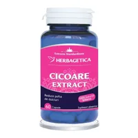 Cicoare Extract, Herbagetica | 30 capsule