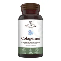 Colagenus Capsule, Colagen concentrat tip II, acid hialuronic și plante medicinale, 60 capsule, Faunus Plant