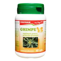 Ghimpe, 40 capsule, Favisan