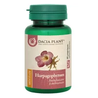 Harpagophytum, 60 comprimate, Dacia Plant