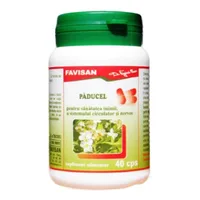 Paducel, 40 capsule, Favisan