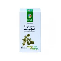 Tinctura de Branca ursului, 50ml, Steaua Divina