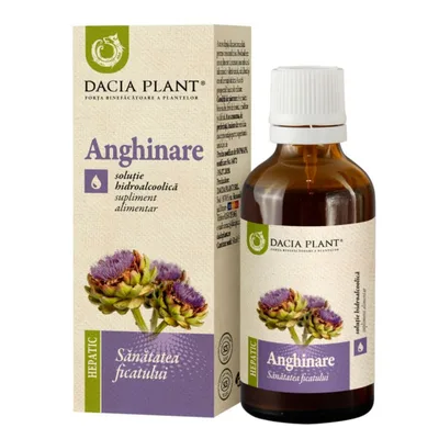 Tinctura de anghinare, 50ml, Dacia Plant