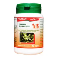 Traista ciobanului, 40 capsule, Favisan