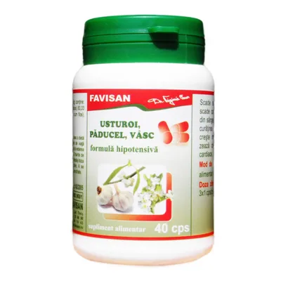 Usturoi paducel vasc, 40 capsule, Favisan