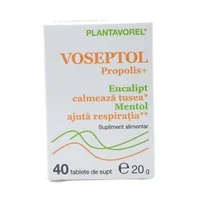 Voseptol, 40 tablete, Plantavorel